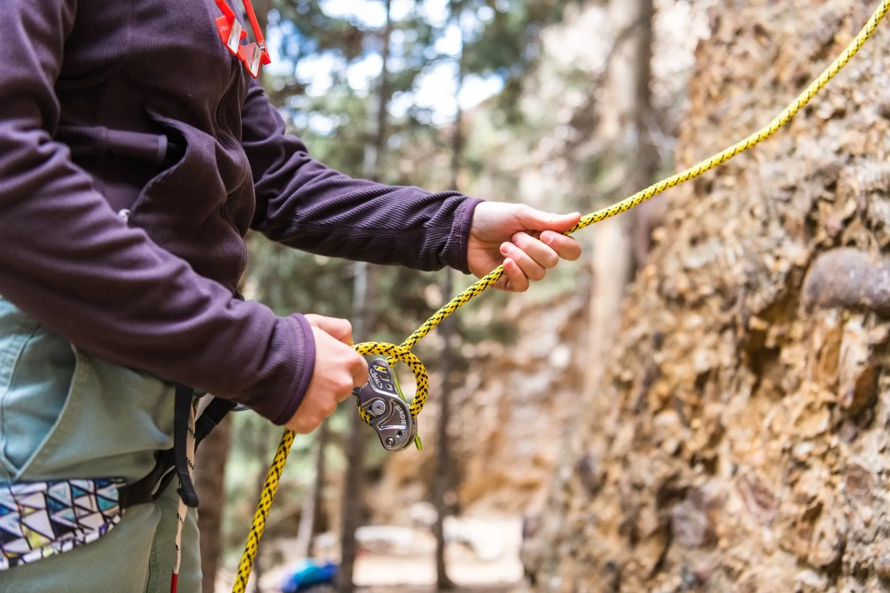 Beal BIRDIE Assisted Belay