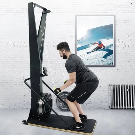 Commercial Ski Erg Machine