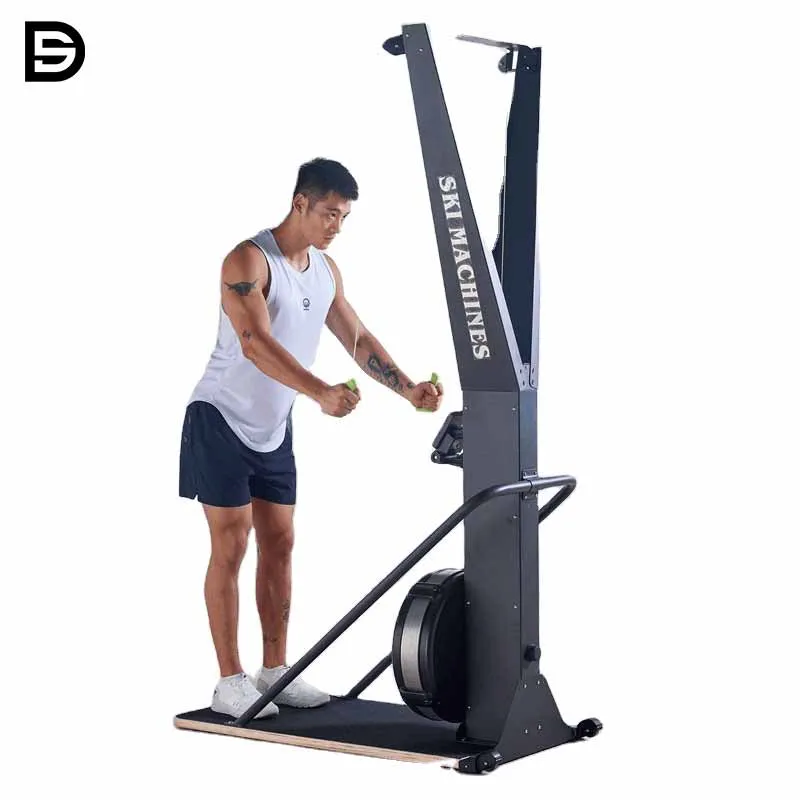 Commercial Ski Erg Machine