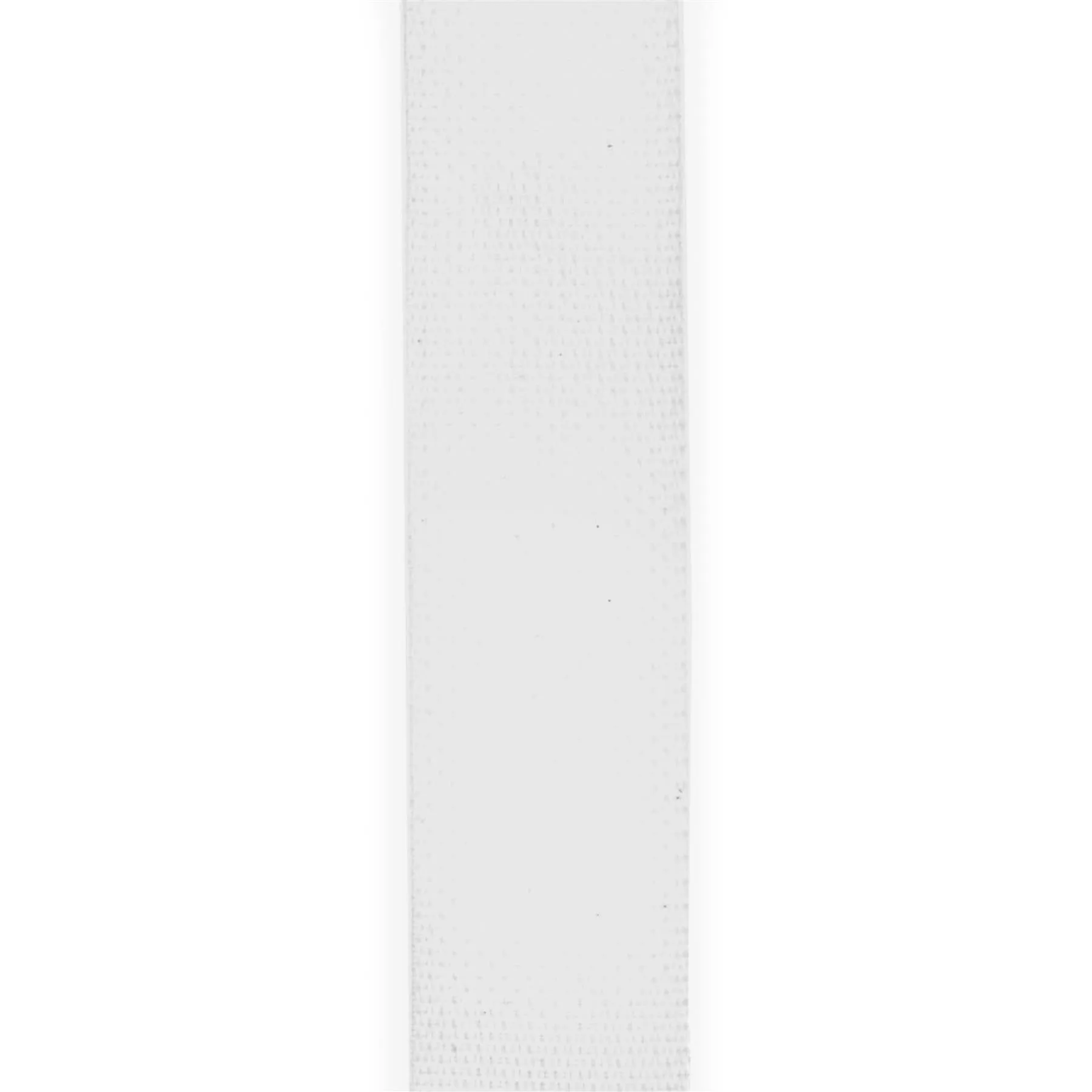 Daddario Polypro Guitar Strap with Leather Ends, White