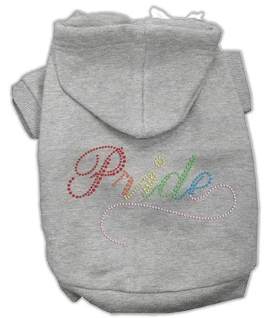 Rainbow Colored Pride Hoodies Grey Xl (16)